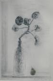 ANGHELUTA Corina Beiu Pelargonium ANGHELUTA Corina Beiu Pelargonium