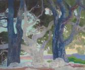 ANGLADA CAMARASA Hermenegildo Pinos De Formentor ANGLADA CAMARASA Hermenegildo Pinos De Formentor
