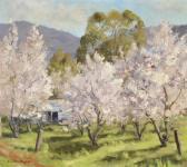 ANGUS John Colin Springtime Adelaide Hills ANGUS John Colin Springtime Adelaide Hills