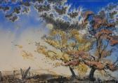 ANLIKER Roger Of Leaves And Kites From Summer ANLIKER Roger Of Leaves And Kites From Summer