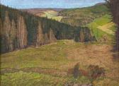 ANLMANN M. Paesaggio Con Campi Fioriti ANLMANN M. Paesaggio Con Campi Fioriti