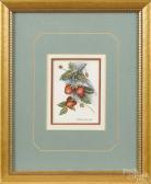ANN LEE Patricia Still Life ANN LEE Patricia Still Life