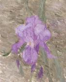 antonescu alexandru Flower antonescu alexandru Flower
