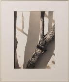 APPLEBY Barry Jantar Mantar I APPLEBY Barry Jantar Mantar I