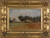 APPLEMAN Dr S.P. Landscape APPLEMAN Dr S.P. Landscape