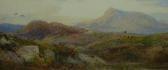 APPLETON William L. Dolwyddelan Moors APPLETON William L. Dolwyddelan Moors