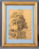 ARAUJO JOAQUIN Paisaje Y Árbol ARAUJO JOAQUIN Paisaje Y Árbol