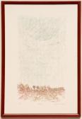 ARDIZZONE Charlotte Norfolk ARDIZZONE Charlotte Norfolk