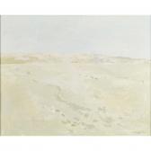 ARDIZZONE Charlotte The Desert ARDIZZONE Charlotte The Desert