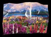ARDOUVIN Pierre Paysage 3d ARDOUVIN Pierre Paysage 3d