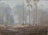ARIS Ernest Alfred A Trembath The Bush Track ARIS Ernest Alfred A Trembath The Bush Track