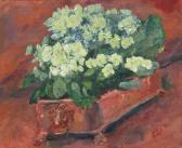 ARKELL CALLY A Still Life Study ARKELL CALLY A Still Life Study