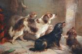 armfield george Group Of Dogs Waiting At A Doorway armfield george Group Of Dogs Waiting At A Doorway