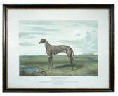 ARMSTRONG James The Celebrated Champion Greyhound "fullerton" ARMSTRONG James The Celebrated Champion Greyhound "fullerton"