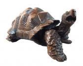 ARMSTRONG John Chester Tortoise ARMSTRONG John Chester Tortoise