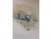 ARMSTRONG Robin Badger ARMSTRONG Robin Badger