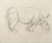 ARNOLD ANNE Rhino ARNOLD ANNE Rhino