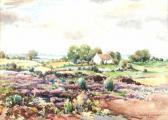 ARNOLD Dennis Heather & Bog, Bannfoot ARNOLD Dennis Heather & Bog, Bannfoot