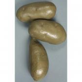 ARNOLDI Chuck Tasty Spuds #35 ARNOLDI Chuck Tasty Spuds #35