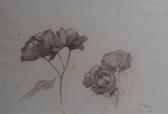ARTACHINO Constantin Roses- Study Page ARTACHINO Constantin Roses- Study Page