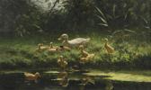 ARTZ Constant David L. Ducklings On A Sunlit Riverbank ARTZ Constant David L. Ducklings On A Sunlit Riverbank