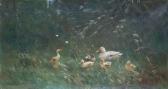 ARTZ Constant David L. Ducks And Butterflies ARTZ Constant David L. Ducks And Butterflies