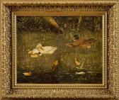 ARTZ David Adolf Constant Stagno Con Papere Ed Anatroccoli ARTZ David Adolf Constant Stagno Con Papere Ed Anatroccoli