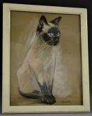 ARUNDEL James Seal Point Siamese ARUNDEL James Seal Point Siamese