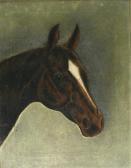 askew e. Portrait Of A Horse askew e. Portrait Of A Horse