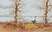 ATKINSON Robin Birds Over Wetlands ATKINSON Robin Birds Over Wetlands