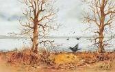 ATKINSON Robin Birds Over Wetlands ATKINSON Robin Birds Over Wetlands