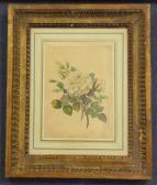 ATKYNS H Study Of Garden Flowers ATKYNS H Study Of Garden Flowers
