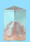 AULAS Géraldine Iris De Cristal AULAS Géraldine Iris De Cristal