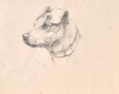 AUSTEN Winifred Marie L. Trap,head Of A Dog AUSTEN Winifred Marie L. Trap,head Of A Dog