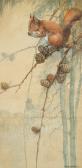 AUSTIN Reginald Harry A Squirrel Eating A Nut On A Branch AUSTIN Reginald Harry A Squirrel Eating A Nut On A Branch