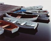 AVIS Allen Rowboats Denuded Sea Urchin Brown Paper Nautilus AVIS Allen Rowboats Denuded Sea Urchin Brown Paper Nautilus