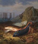 BÖE FRANZ DIDRIK Fish BÖE FRANZ DIDRIK Fish