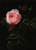 BAADSGAARD Alfrida V. Ludovica Still Life With Pink Roses BAADSGAARD Alfrida V. Ludovica Still Life With Pink Roses
