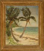 BAEKELAND Celine Florida Coast BAEKELAND Celine Florida Coast
