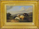BAERT Henri Moutons BAERT Henri Moutons