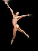 BAGGULEY RICHARD Lord Of The Dance BAGGULEY RICHARD Lord Of The Dance