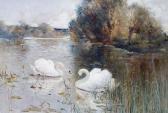 BAILEY Alfred E A River Landscape With Swans BAILEY Alfred E A River Landscape With Swans