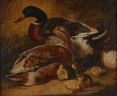 BAILEY E. Ducks And Ducklings On A Riverbank BAILEY E. Ducks And Ducklings On A Riverbank