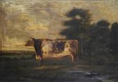 BAILEY G. A Prize Shorthorn Bull In A Landscape BAILEY G. A Prize Shorthorn Bull In A Landscape