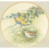 Bailey Margo Ammon Garden Birds Bailey Margo Ammon Garden Birds