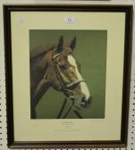 Bailey Martyn 'aldaniti' (portrait Of The Grand National Winning Horse) Bailey Martyn 'aldaniti' (portrait Of The Grand National Winning Horse)