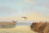 BAILEY Wilfred Evening Mists - Mallard BAILEY Wilfred Evening Mists - Mallard