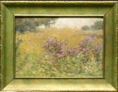 BAKER W.C. Lilac Bushes BAKER W.C. Lilac Bushes