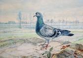 BALDAUF Jean Pigeon On A Bank With Trees Beyond, A Pair BALDAUF Jean Pigeon On A Bank With Trees Beyond, A Pair