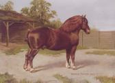 BALDOCK Charles Edwin M. The Dark Red Suffolk Horse 'western Victory' BALDOCK Charles Edwin M. The Dark Red Suffolk Horse 'western Victory'